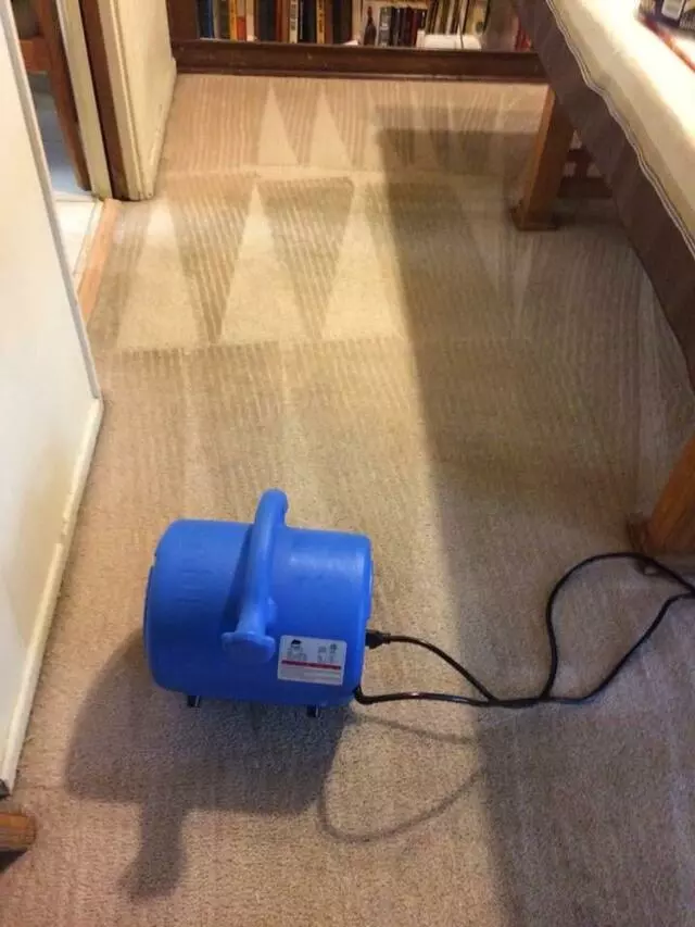 All Cleaning Services