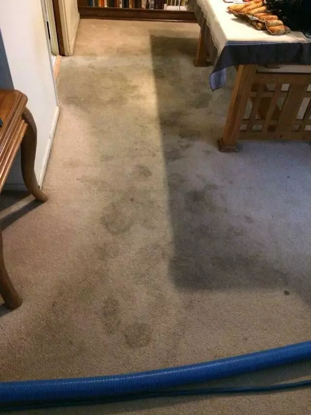 All Cleaning Services