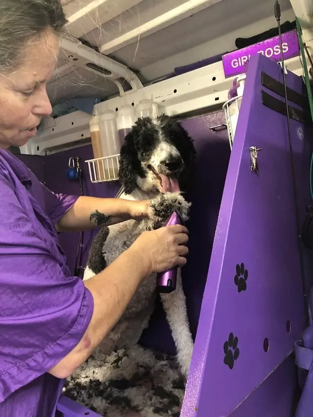 Doggie Styles by Steph
