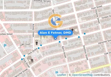 Alan E Fetner, DMD
