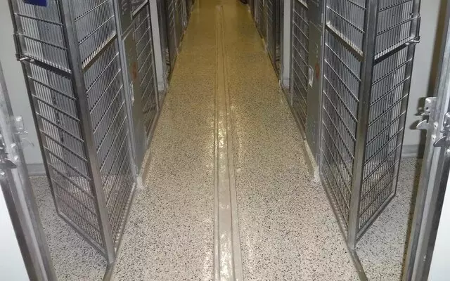 Advance Industrial Coatings