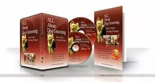 All About Dog Grooming