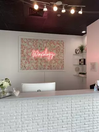 Waxology Waxing Studio