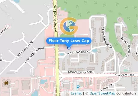 Fiser Tony Lcsw Cap