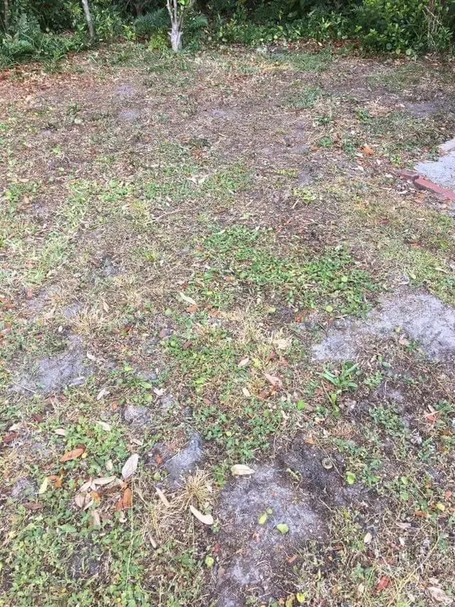 All Or Nothing Landscaping