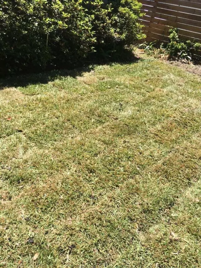 All Or Nothing Landscaping
