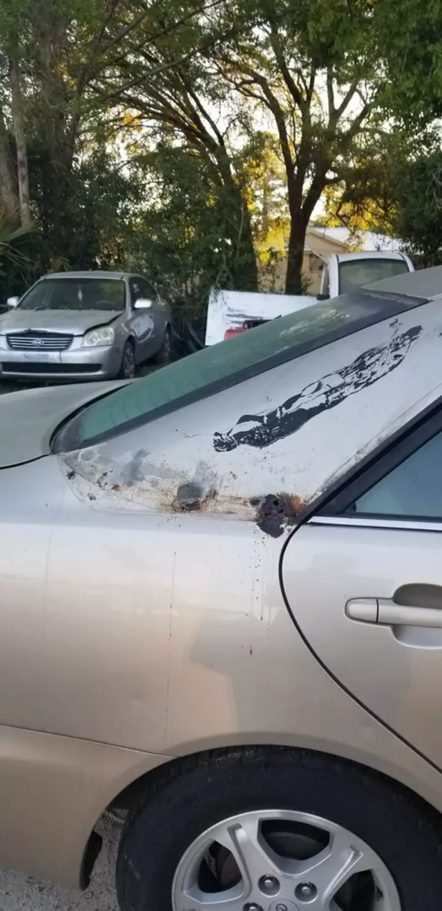 Accurate Automotive of Jacksonville
