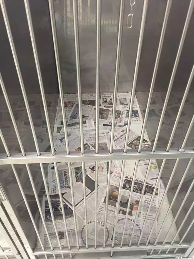 Argyle Animal Clinic
