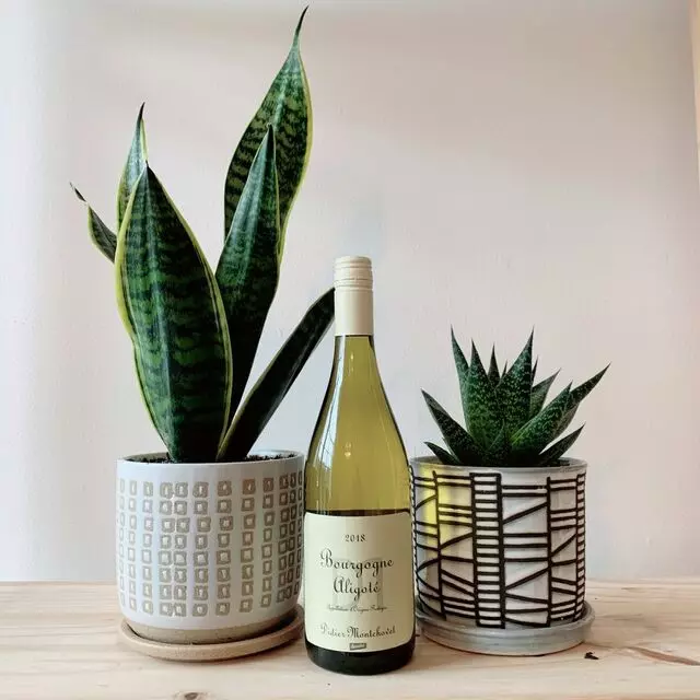 Kathryn&apos;s Wines