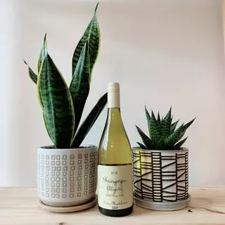 Kathryn's Wines