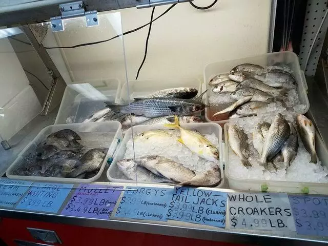 Atlantic Coast Seafood
