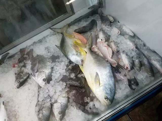 Atlantic Coast Seafood