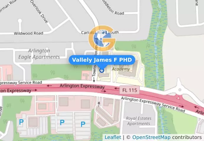 Vallely James F PHD
