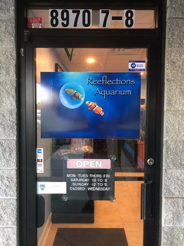 Reeflections Aquarium