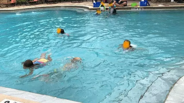Champion Swim School