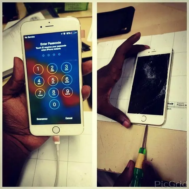 10,000 Cellphones of Normandy Blvd