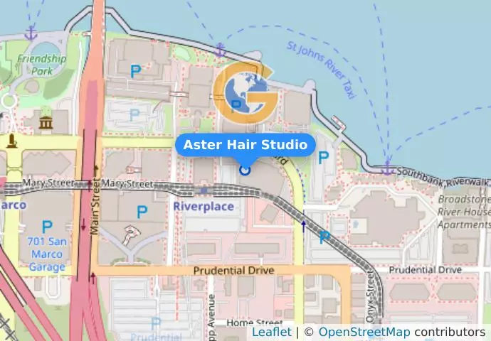 Aster Hair Studio