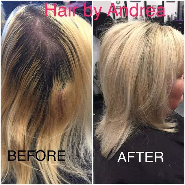 Avalon Salon