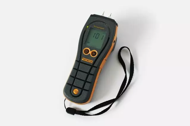Mold Diagnostic Services
