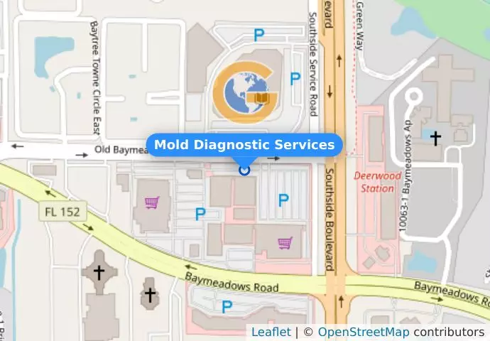 Mold Diagnostic Services