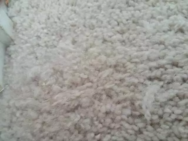 Affordable Carpet & Blinds