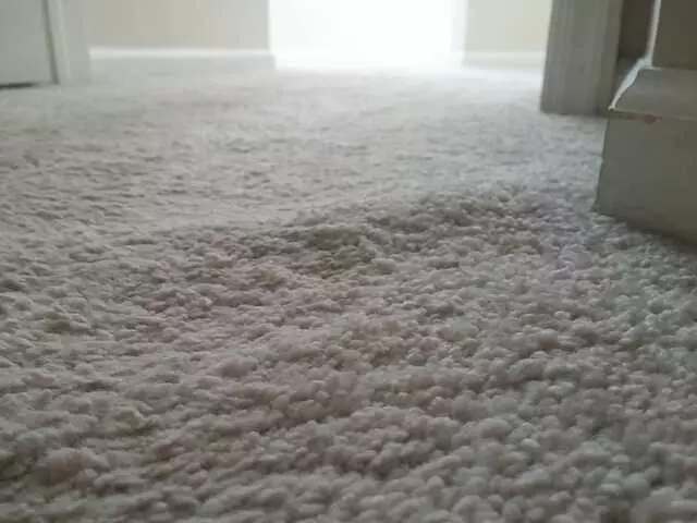 Affordable Carpet & Blinds