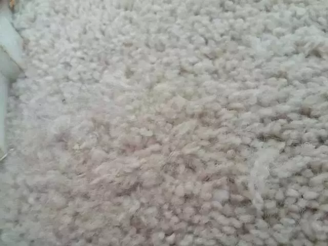 Affordable Carpet & Blinds