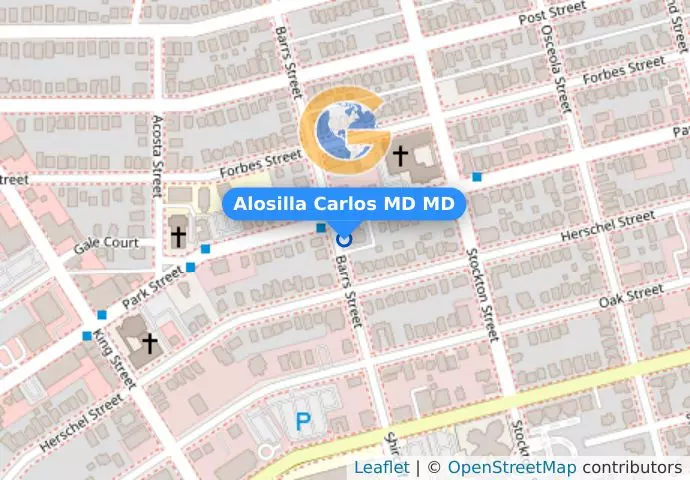 Alosilla Carlos MD MD