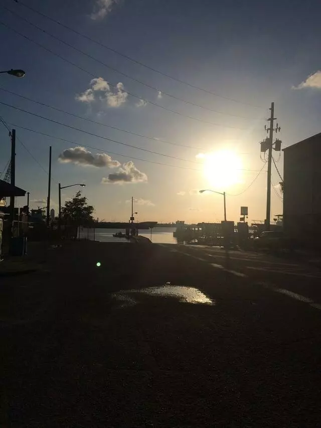 Arlington Marina