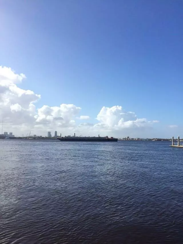 Arlington Marina