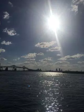 Arlington Marina