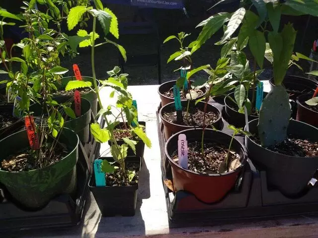 Arts District Farmers Market
