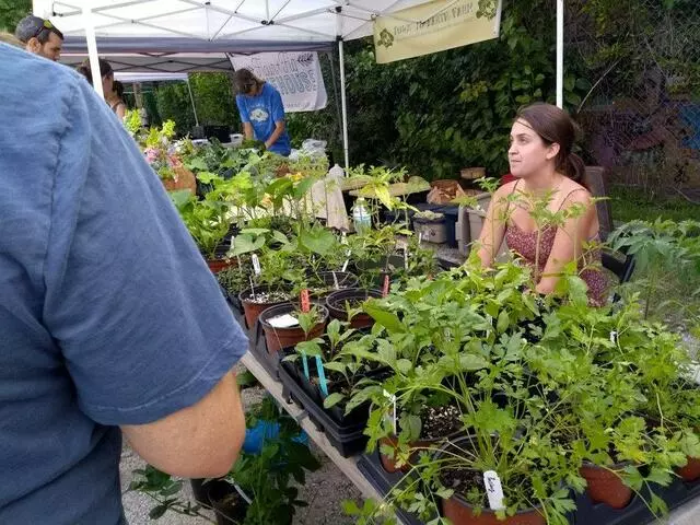 Arts District Farmers Market