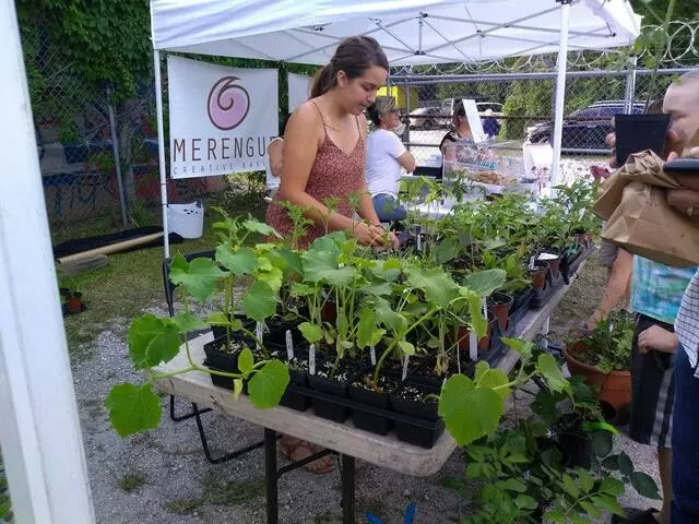 Arts District Farmers Market
