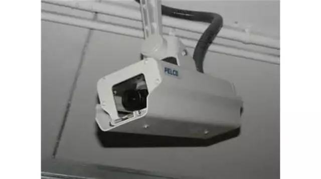 Armadillo Mini Storage