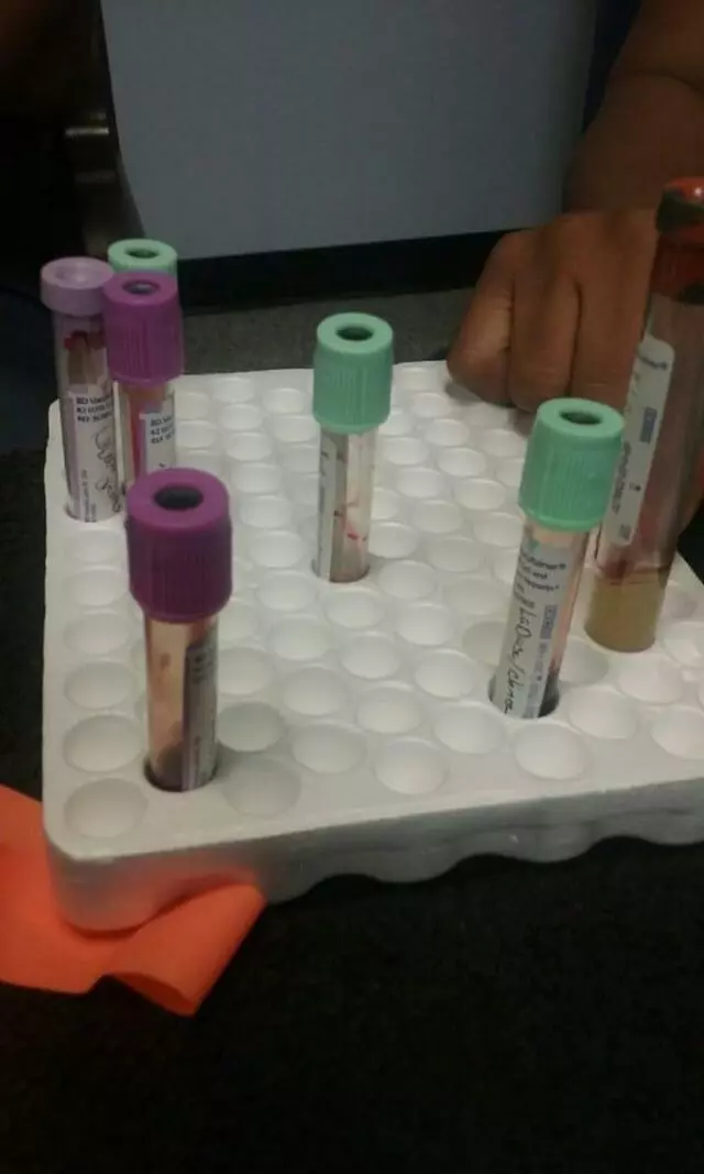 A+ CNA Training & Test Preparation