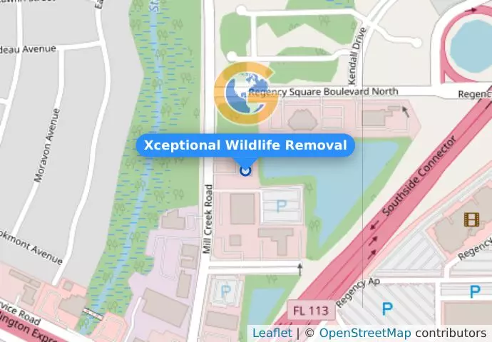 Xceptional Wildlife Removal