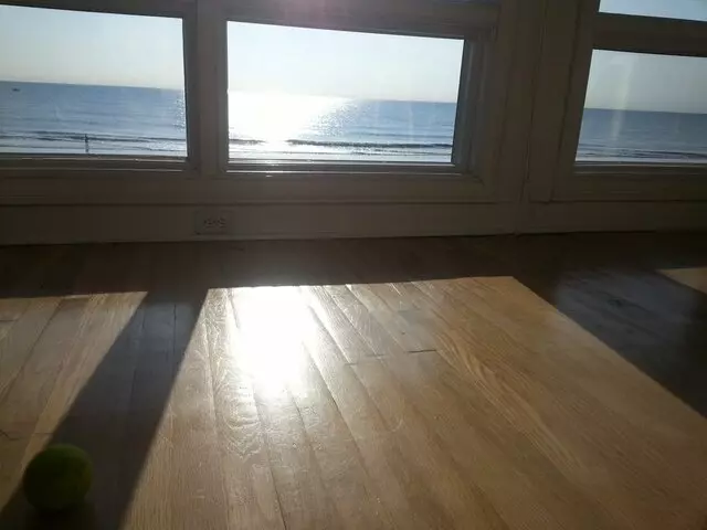 All Spec Sun Control