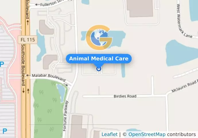 Animal Medical Care