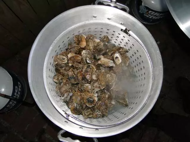 Aw Shucks Oyster Bar & Arcade
