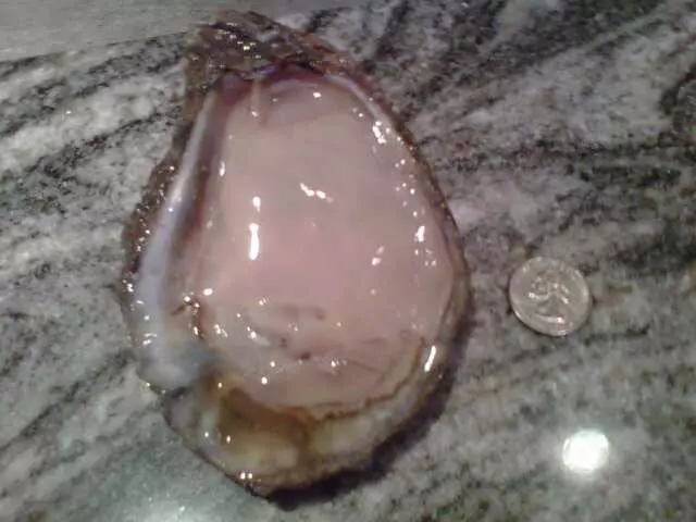 Aw Shucks Oyster Bar & Arcade