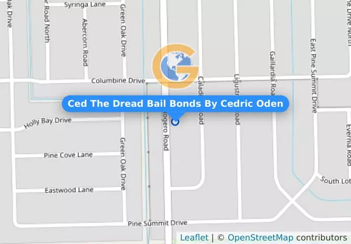 Ced The Dread Bail Bonds By Cedric Oden