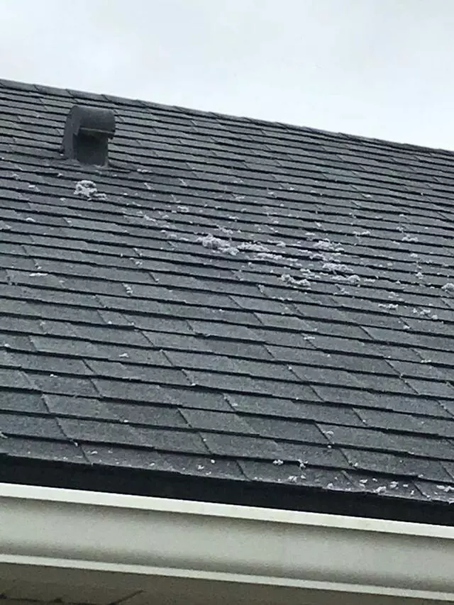 A LInt Free Vent