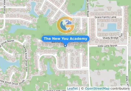The New You Academy