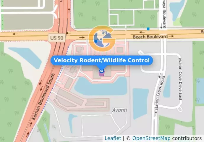 Velocity Rodent/Wildlife Control