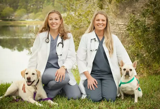 Animal Medical Clinic At St Johns