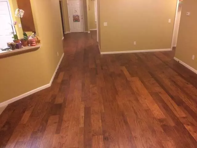 Armorshine Floors