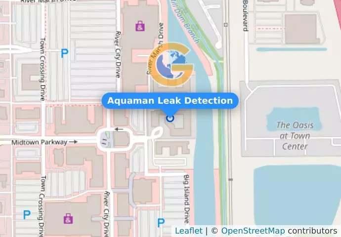 Aquaman Leak Detection