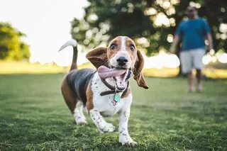 THRIVE Affordable Vet Care - Jacksonville Atlantic
